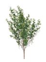 EUKALIPTUS BUKIET 60CM POWDER GREEN