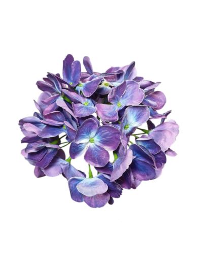 HORTENSJA GŁOWA 17CM KLM1201 EGGPLANT