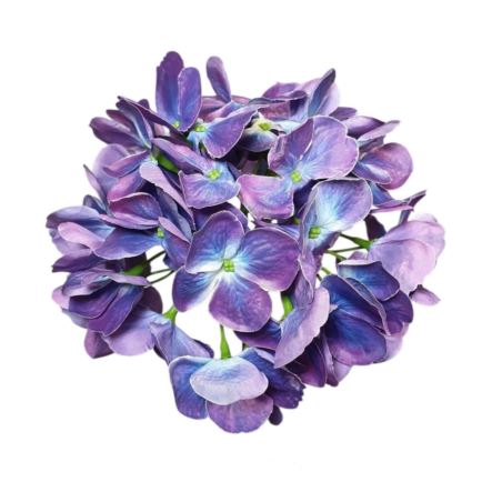 HORTENSJA GŁOWA 17CM KLM1201 EGGPLANT
