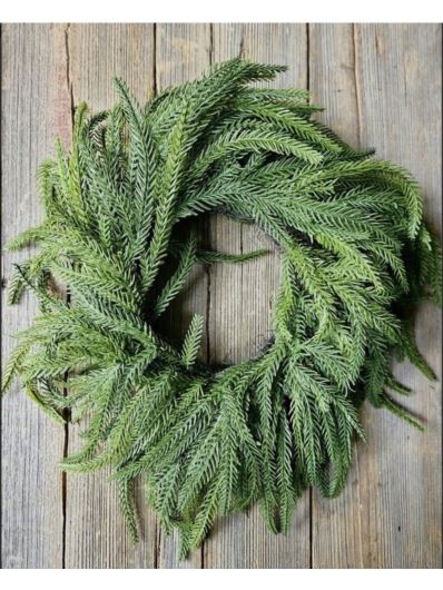 WIANEK SOSNA NORFOLK 45CM RT GREEN