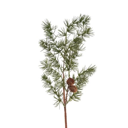 MODRZEW SZYSZKI 65CM /24217 GREEN