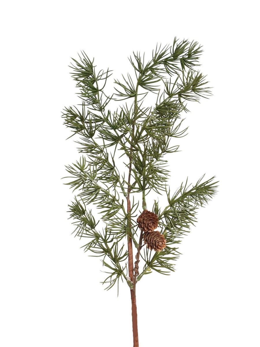 MODRZEW SZYSZKI 65CM /24217 GREEN