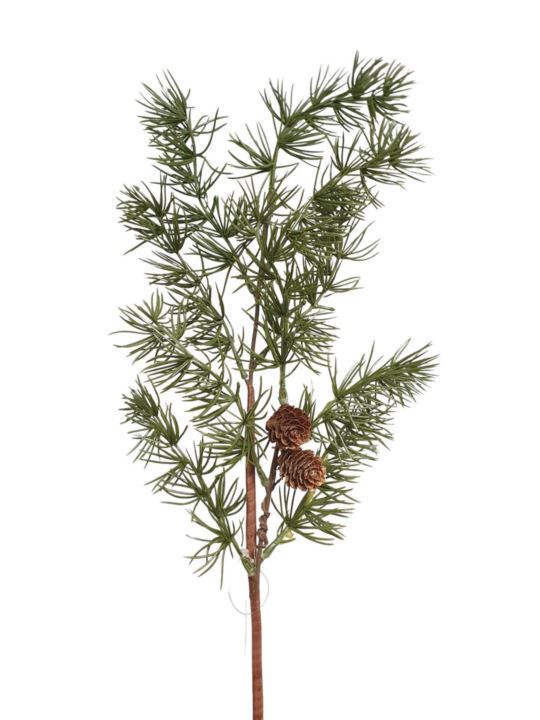 MODRZEW SZYSZKI 65CM /24217 GREEN