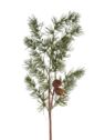 MODRZEW SZYSZKI 65CM /24217 GREEN