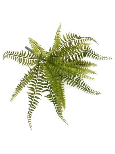 PAPROĆ BUKIET MAŁY 24CM FRO008 GREEN