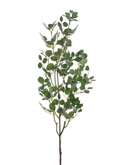 EUKALIPTUS DROBNE LISTKI GAŁĄZKA 73CM LIU533 GREEN