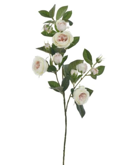 RÓŻA ANGIELSKA GAŁĄZKA 78CM SUN873 CREAM GREEN