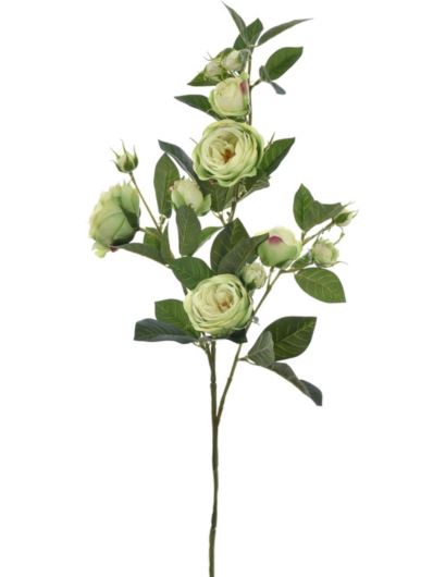 RÓŻA ANGIELSKA GAŁĄZKA 78CM SUN873 GREEN