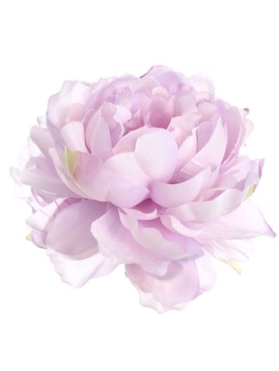 PEONIA GŁOWA 15CM SUN406 POWDER VIOLET