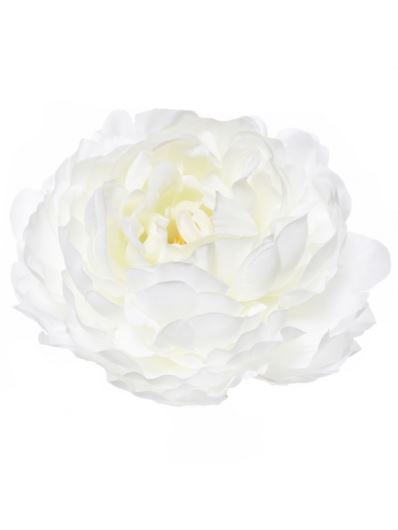 PEONIA GŁOWA 15CM SUN406 LT GREEN