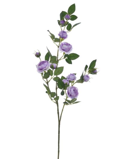 Róża Gał dzikiej różyczki 78cm sun663 lt violet