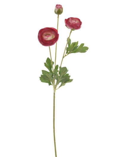 PEŁNIK GAŁĄZKA 55CM SUN869 (2) RASPBERRY