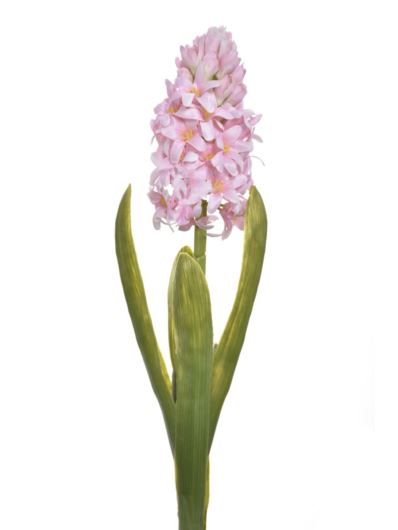 HIACYNT Z LIŚCIEM 40CM SUN561 PEARL PINK