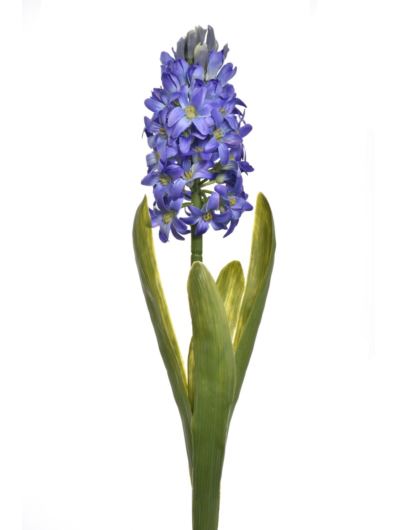 HIACYNT Z LIŚCIEM 40CM SUN561 VIOLET LT BLUE