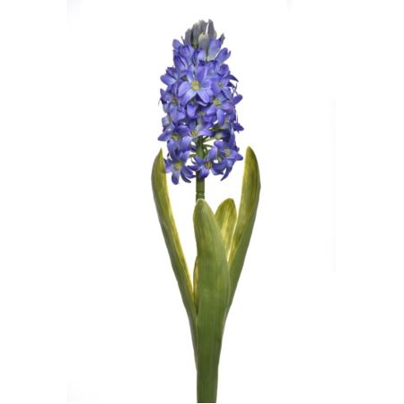 HIACYNT Z LIŚCIEM 40CM SUN561 VIOLET LT BLUE