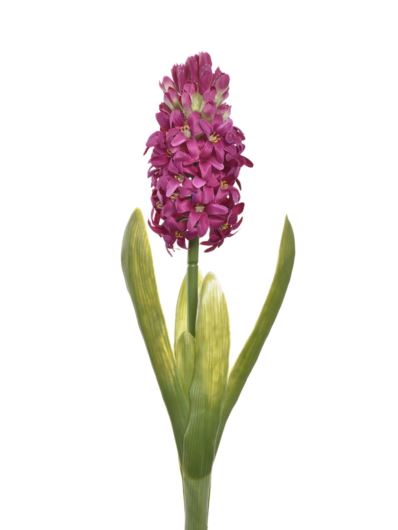 HIACYNT Z LIŚCIEM 40CM SUN561 FUCHSIA