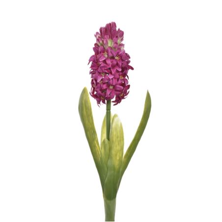 HIACYNT Z LIŚCIEM 40CM SUN561 FUCHSIA