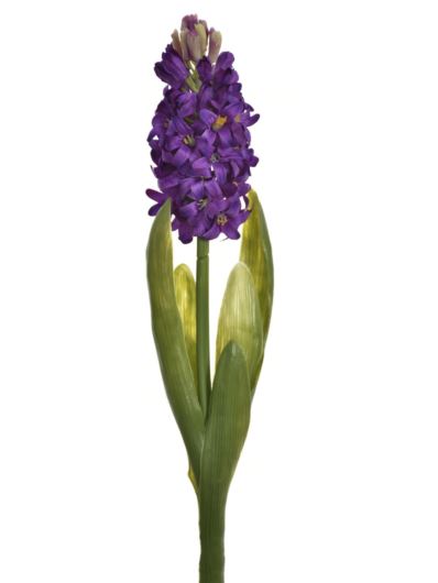 HIACYNT Z LIŚCIEM 40CM SUN561 RGGPLANT