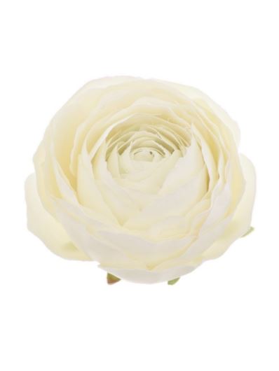 PEŁNIK WYROBOWY 8CM SUN881 CREAM