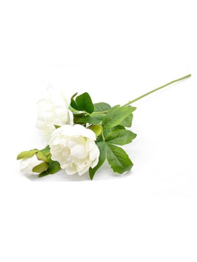 PEONIA GAŁĄZKA DWA KWIATY + PĄK WHITE CREAM