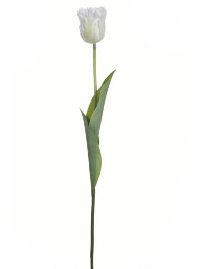 TULIPAN POJEDYNCZY 50CM ART26 WHITE