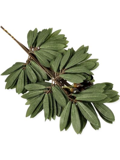 OLIWKA LIŚĆ Z OWOCAMI / 0652 52CM GREEN