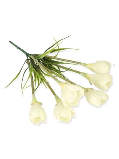 KROKUS BUKIET 36CM 6 KWIATÓW /4014 CREAM WHITE