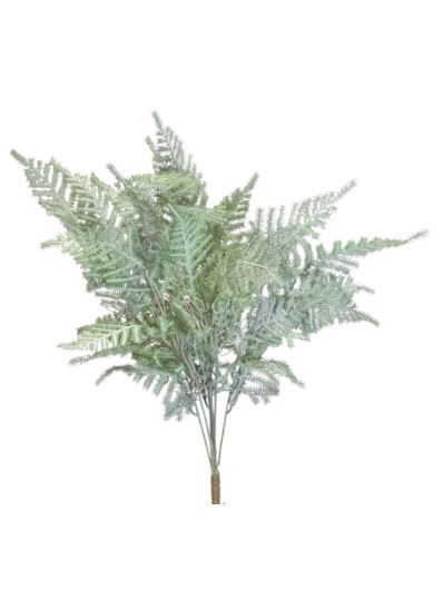 PAPROTKA ASPARAGUS BUKIET 55CM POWDER GREEN