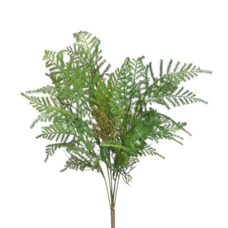 PAPROTKA ASPARAGUS BUKIET 55CM DK GREEN