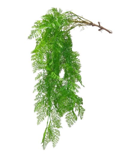ZWIS PAPROTKA PIETRUSZKA 85CM GREEN