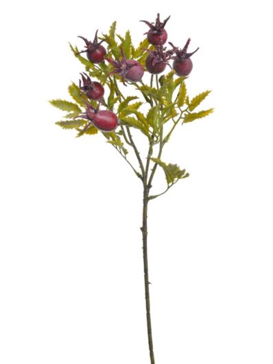 Gałązka dzikiej róży -sztucz.rośl.