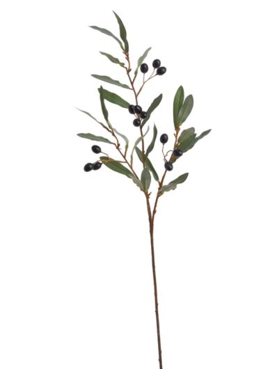 Oliwki na gałązce -sztucz.rośl.