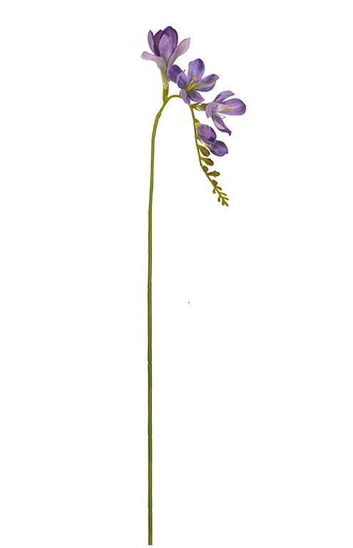 FREZJA POJEDYNCZA 55CM AJ01907 VIOLET