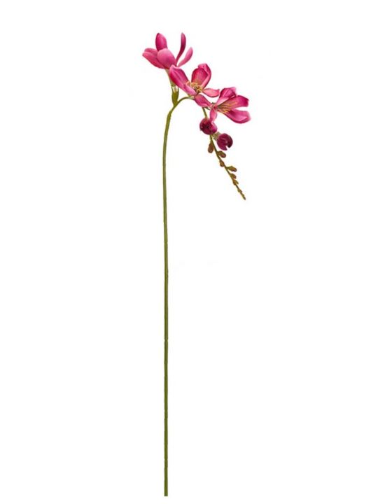 FREZJA POJEDYNCZA 55CM AJ01907 BEAUTY