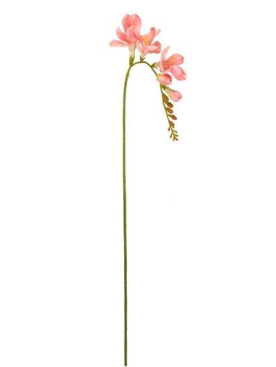 FREZJA POJEDYNCZA 55CM AJ01907 CORAL