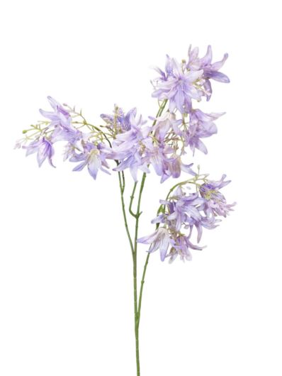 HIACYNT KALIFORNIJSKI 90CM LAVENDER