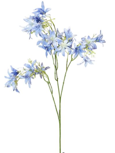 HIACYNT KALIFORNIJSKI 90CM BLUE