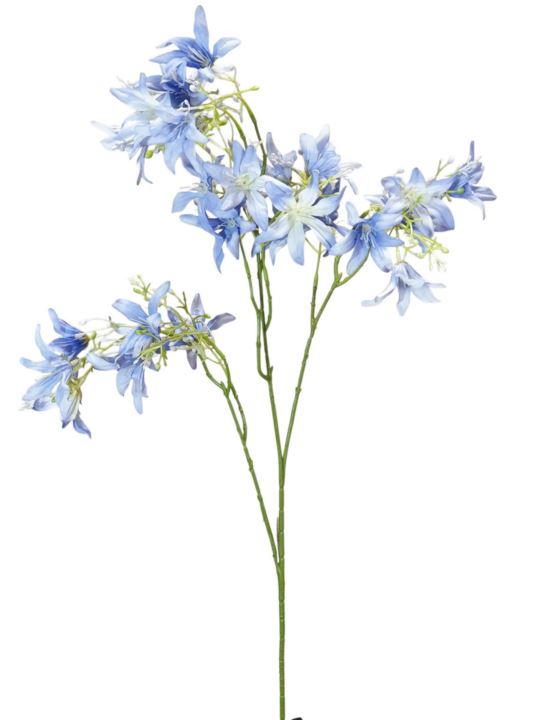 HIACYNT KALIFORNIJSKI 90CM BLUE