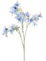 HIACYNT KALIFORNIJSKI 90CM BLUE