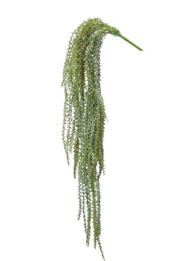 RHIPSALIS PĘCZEK  78CM GRAY GREEN