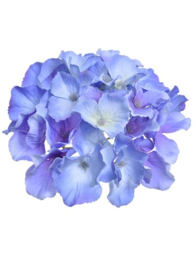 HORTENSJA GŁÓWKA 15CM SUN644 BLUE VIOLET