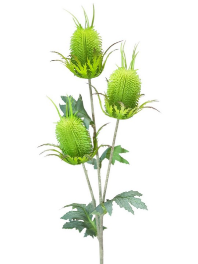 OSET – THISTLE 70CM FLOCK VIP8245 LT GREEN