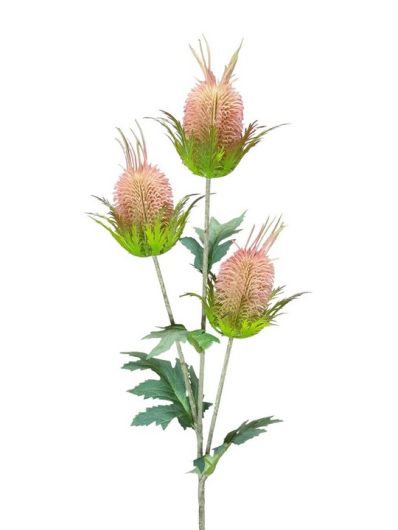 OSET – THISTLE 70CM FLOCK VIP8245 PINK GREEN