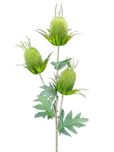 OSET – THISTLE 70CM FLOCK VIP8245 GREEN