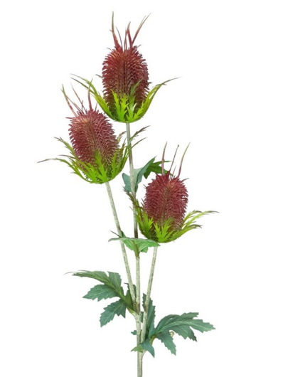 OSET – THISTLE 70CM FLOCK VIP8245 BURGUBDY GREEN