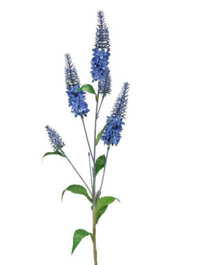 SZAŁWIA GAŁĄZKA 80CM BLUE