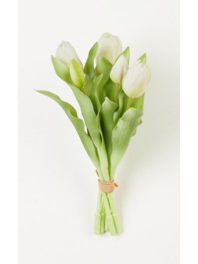 TULIPAN PĘCZEK SILIKONOWY 5 X PĄK WHITE GREEN
