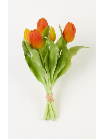 TULIPAN PĘCZEK SILIKONOWY 5 X PĄK ORANGE