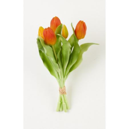 TULIPAN PĘCZEK SILIKONOWY 5 X PĄK ORANGE