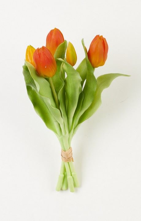 TULIPAN PĘCZEK SILIKONOWY 5 X PĄK ORANGE